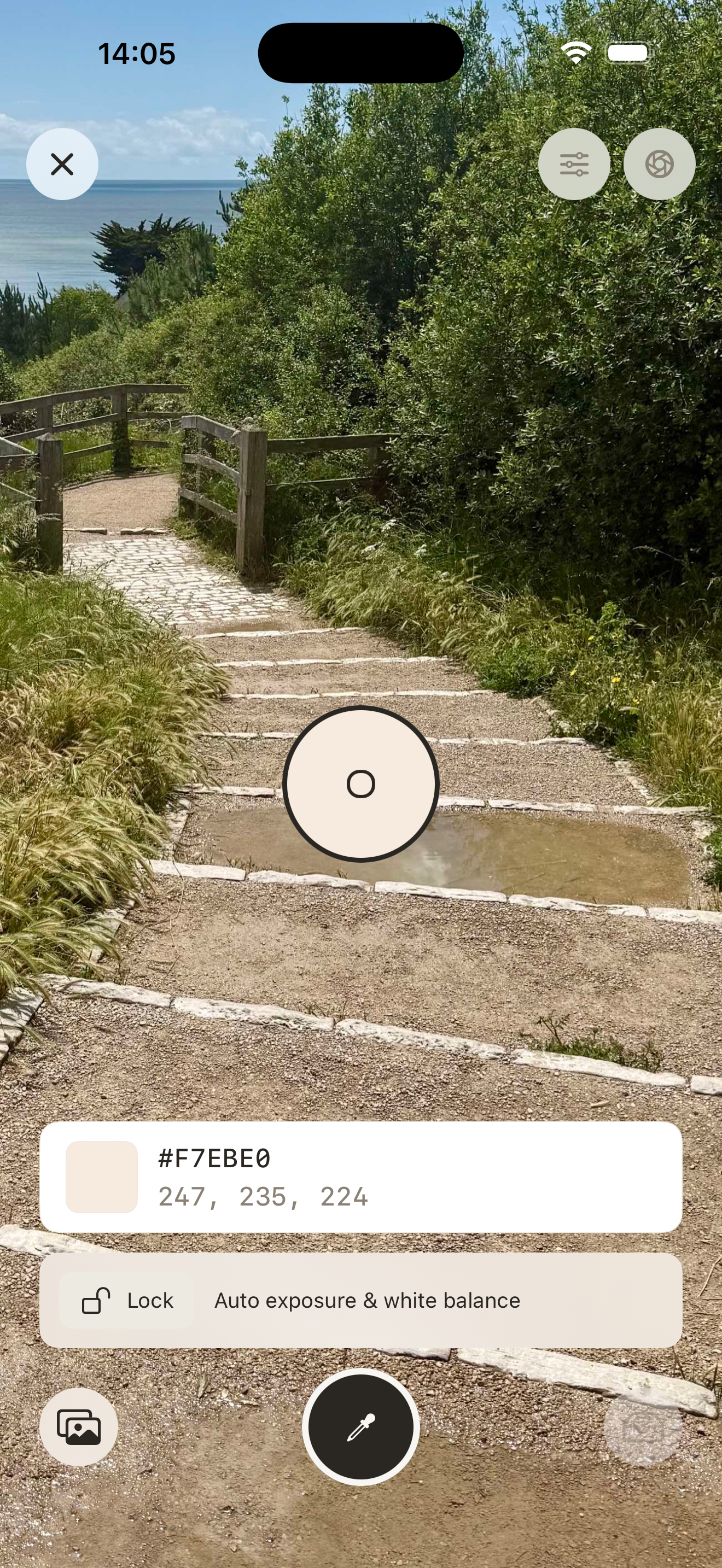 Live camera capture with loupe and sampled colour readout